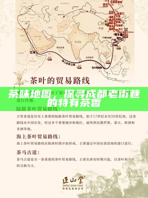 探寻成都老街巷的茶味地图